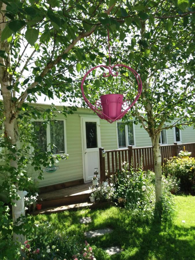 Hills View Accommadation Borrisoleigh Buitenkant foto